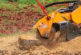 How Our Tree Care Process Works  in  Garwood, NJ